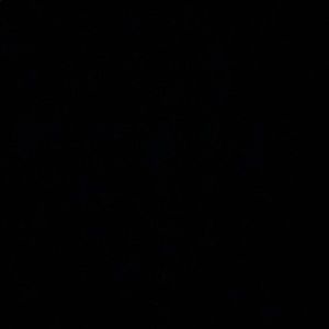 Meet your Posher, Roxana